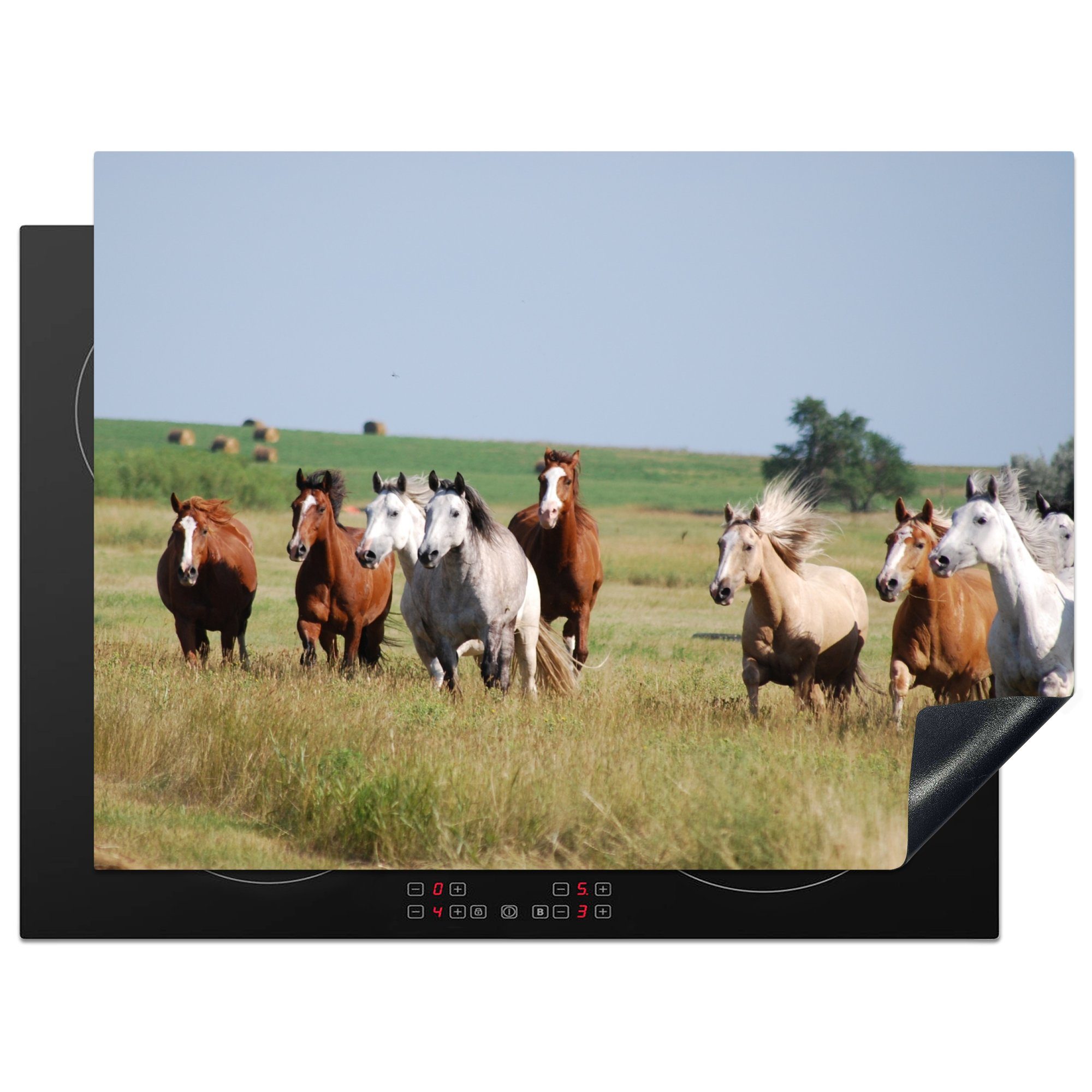 MuchoWow Herdblende-/Abdeckplatte Pferde - Gras - Fohlen, Vinyl, (1 tlg), 70x52 cm, Mobile Arbeitsfläche nutzbar, Ceranfeldabdeckung