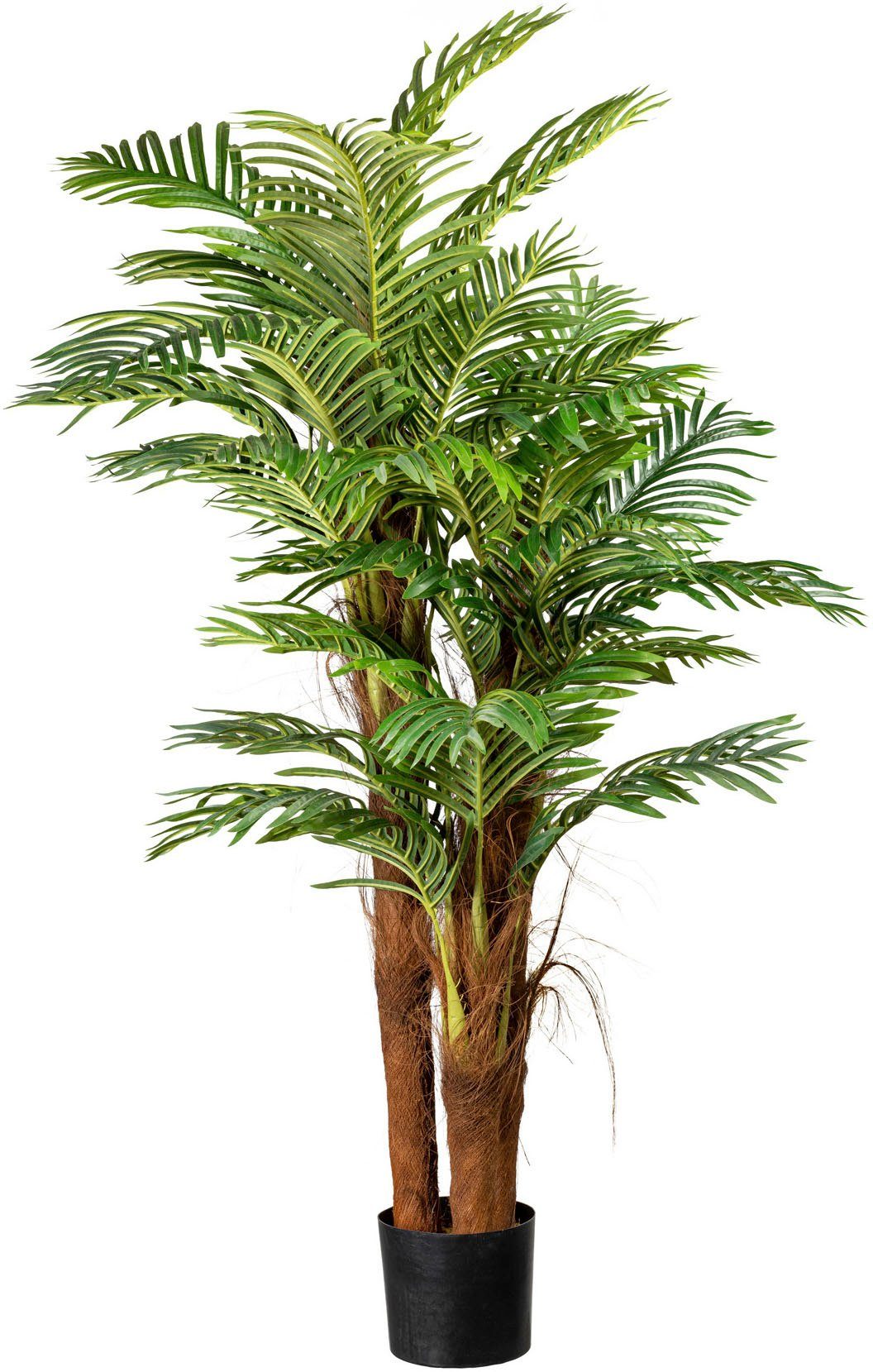 Kunstpalme Arecapalme Palme, Creativ green, Höhe günstig online kaufen