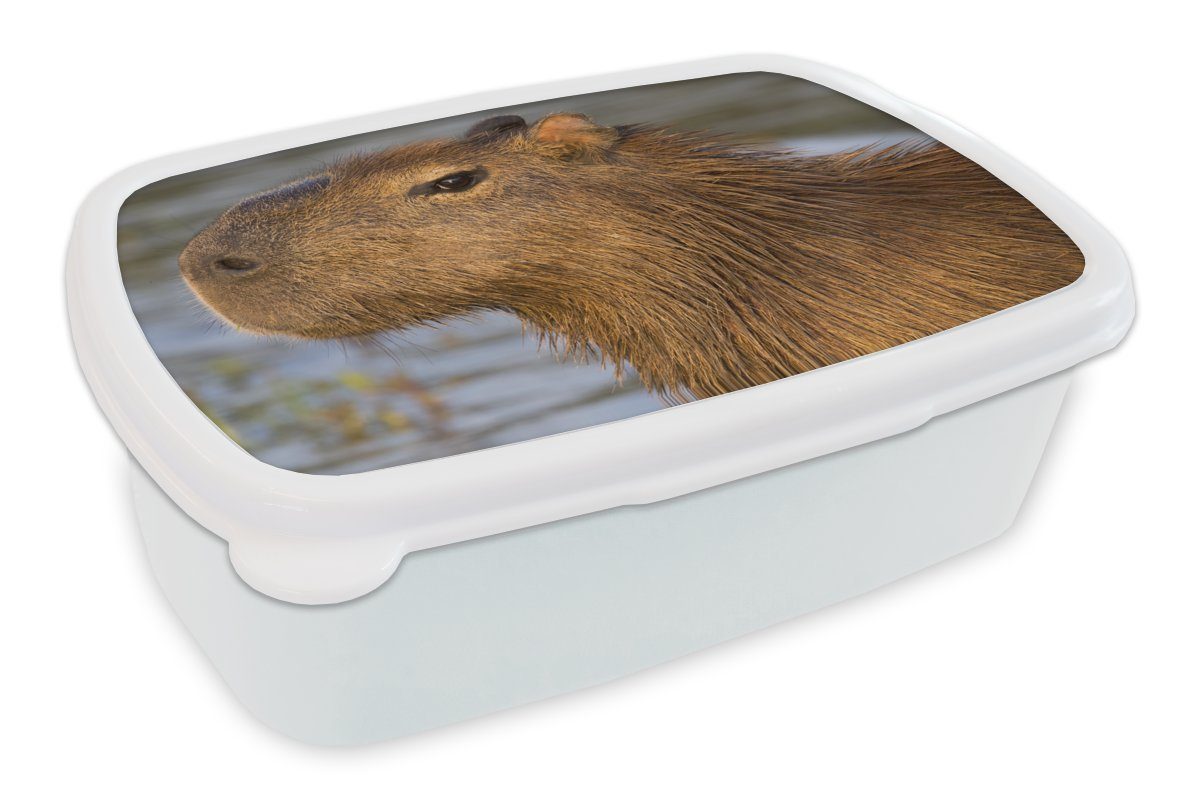 MuchoWow Lunchbox Eine Nahaufnahme des Kopfes eines Capybaras, Kunststoff, (2-tlg), Brotbox für Kinder und Erwachsene, Brotdose, für Jungs und Mädchen weiß