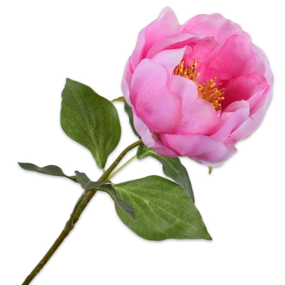 Künstliche Zimmerpflanze Seidenblume Pfingstrose Zweig Rosa (56cm), SILK-KA