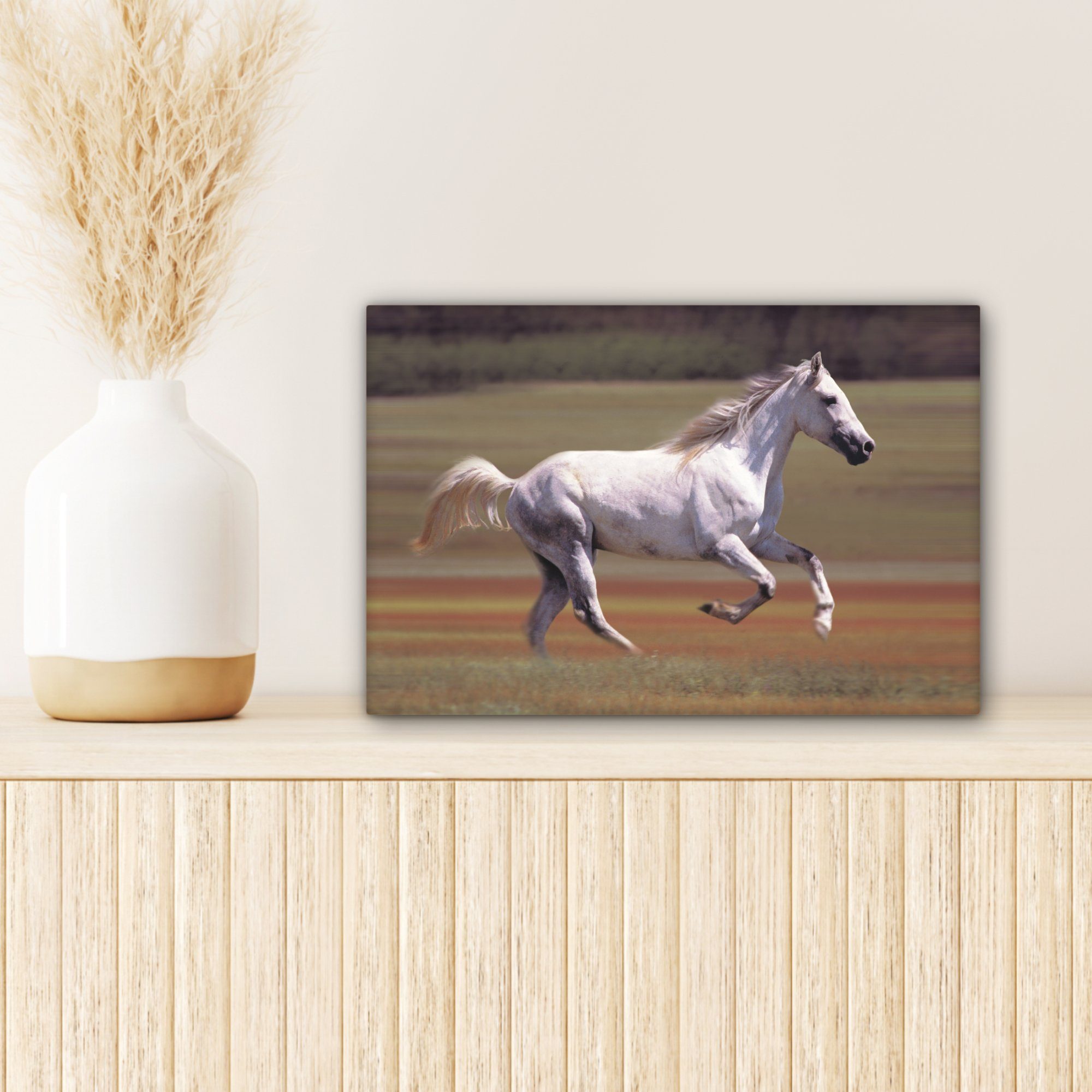 OneMillionCanvasses® Leinwandbild Pferd cm Wanddeko, Gras, (1 Aufhängefertig, Wandbild Leinwandbilder, Licht - St), - 30x20 bunt