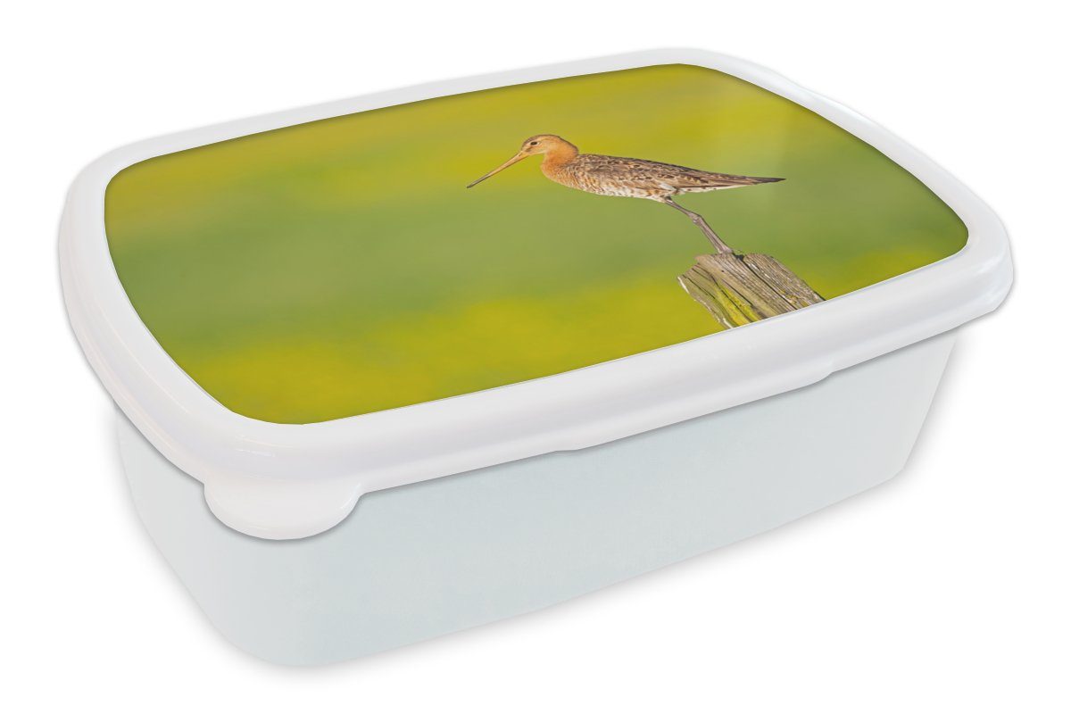 erstklassig MuchoWow Lunchbox Vogel - Tiere Pfahl weiß Mädchen Brotbox und - Grün, Uferschnepfe - Kinder - Erwachsene, für Brotdose, (2-tlg), Kunststoff, und Jungs für