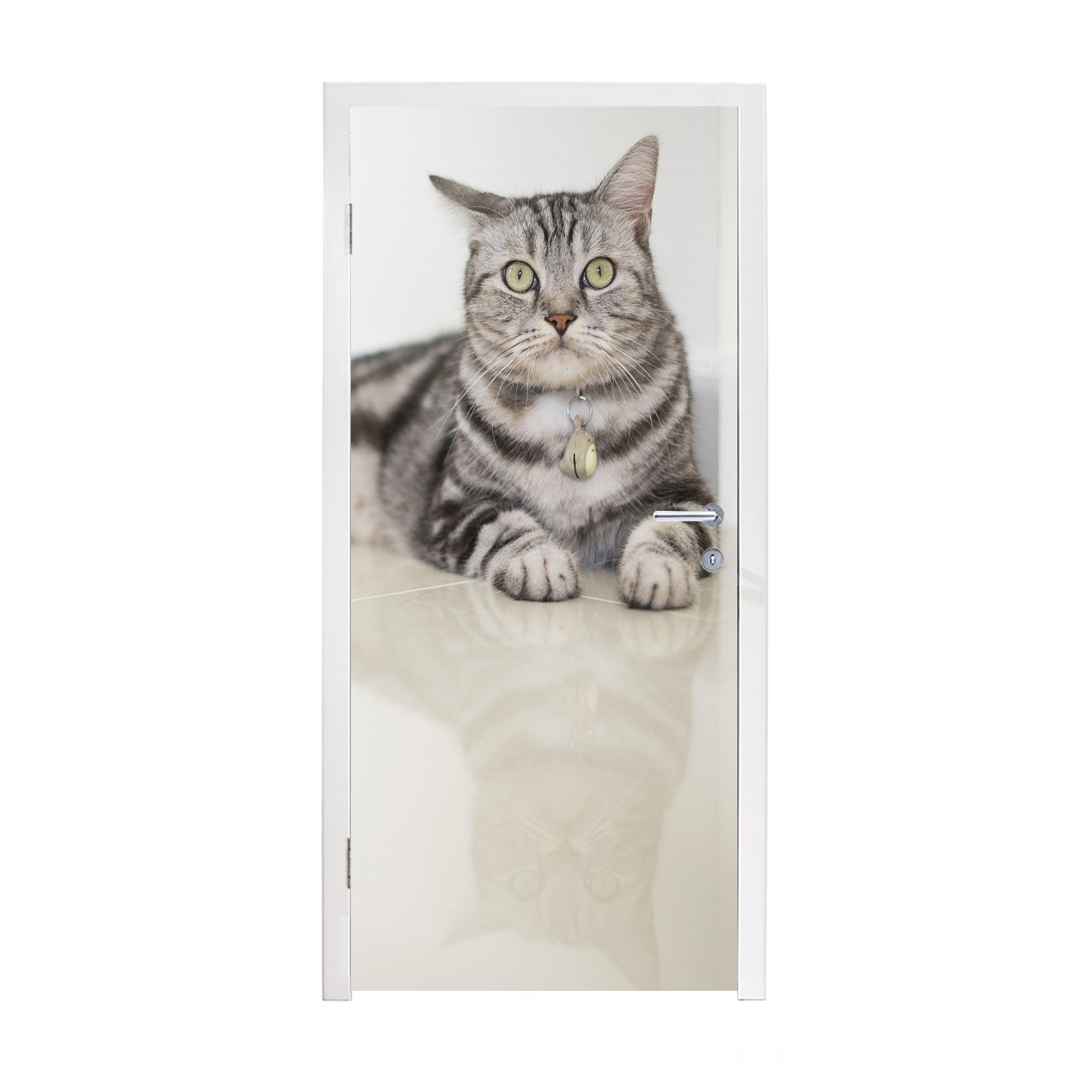MuchoWow Türtapete Katze - Grau - Tier - Mädchen - Kinder - Jungen - Kind, Matt, bedruckt, (1 St), Fototapete für Tür, Türaufkleber, 75x205 cm