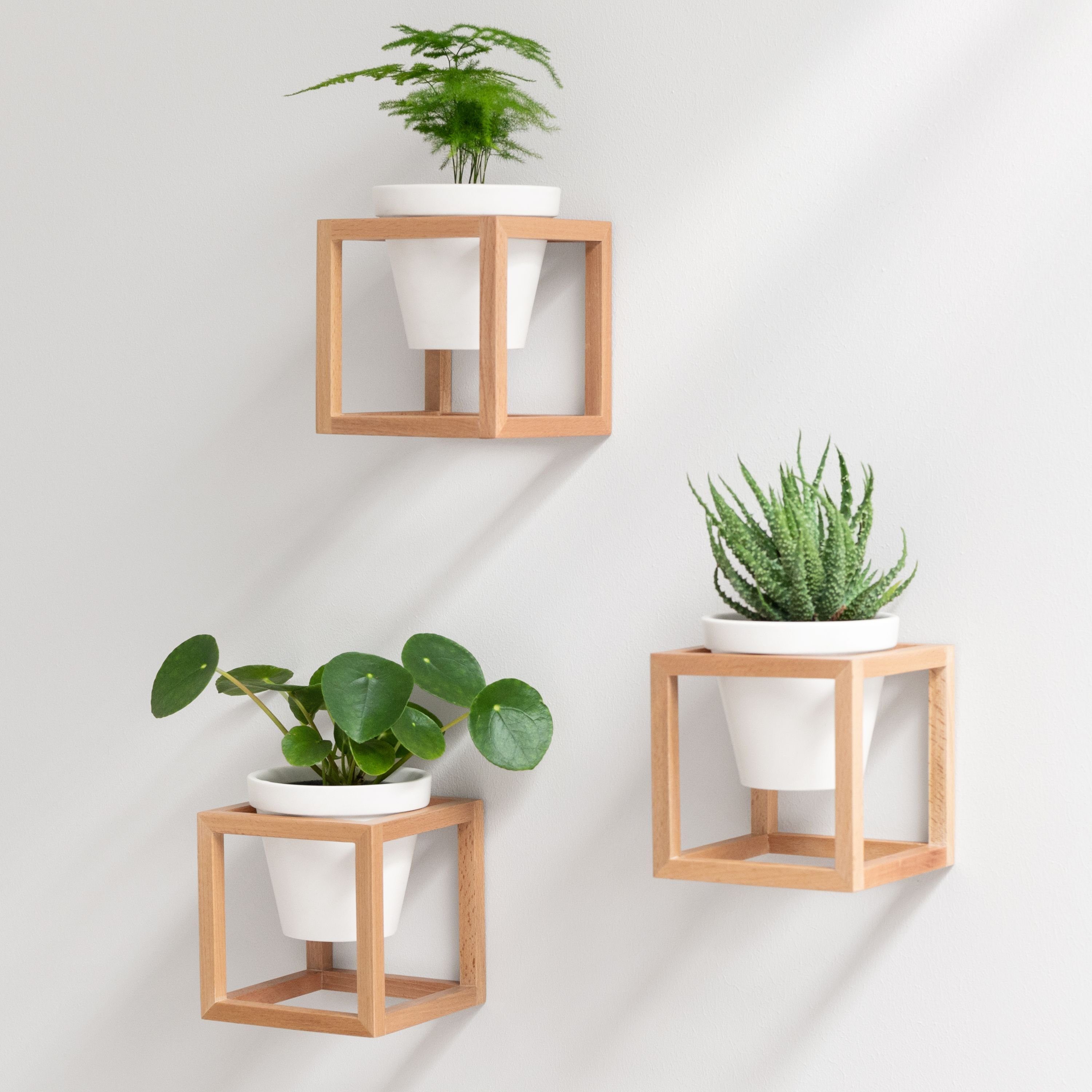 KAZAI. Blumentopf Wandvasen in massiver Buche günstig online kaufen