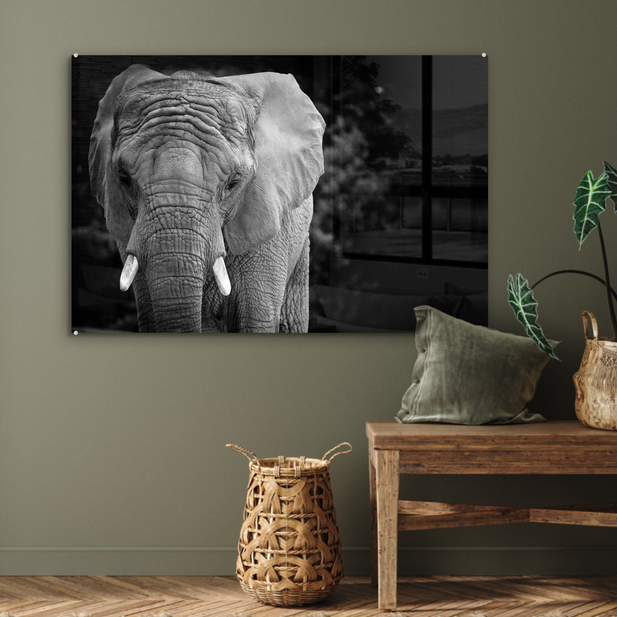Acrylglasbild Porträt Acrylglasbilder Schlafzimmer Wohnzimmer St), (1 bunt MuchoWow Elefanten und Schwarz Weiß, in & eines