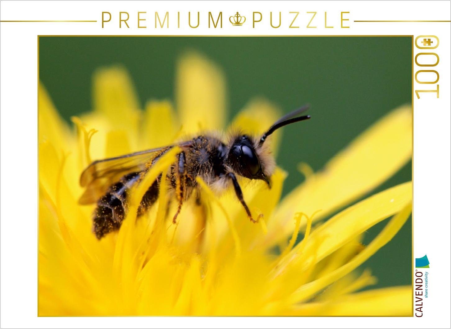 CALVENDO Puzzle CALVENDO Puzzle Bienen - Fleißige Gartenbewohner 1000 Teile Lege-Größe 64 x 48 cm Foto-Puzzle Bild von Silvia Hahnefeld, 1000 Puzzleteile | Puzzle
