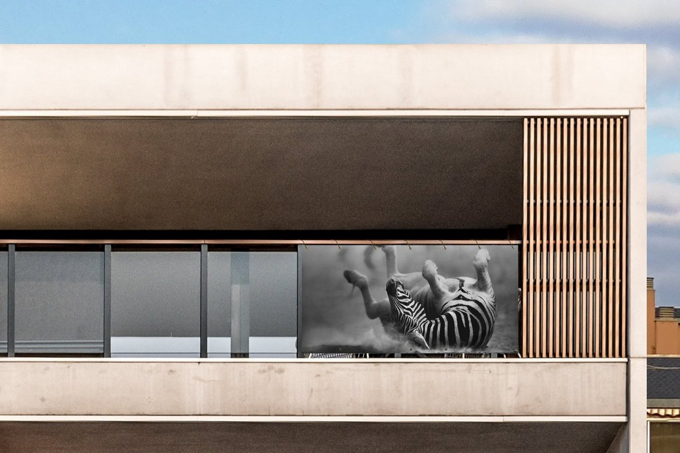 Thumbnail - MuchoWow Balkonsichtschutz Zebra - Tiere - Schwarz - Weiß (1-St) Balkon Sichtschutz 90x200, Windschutz für Zaun PVC, 200...