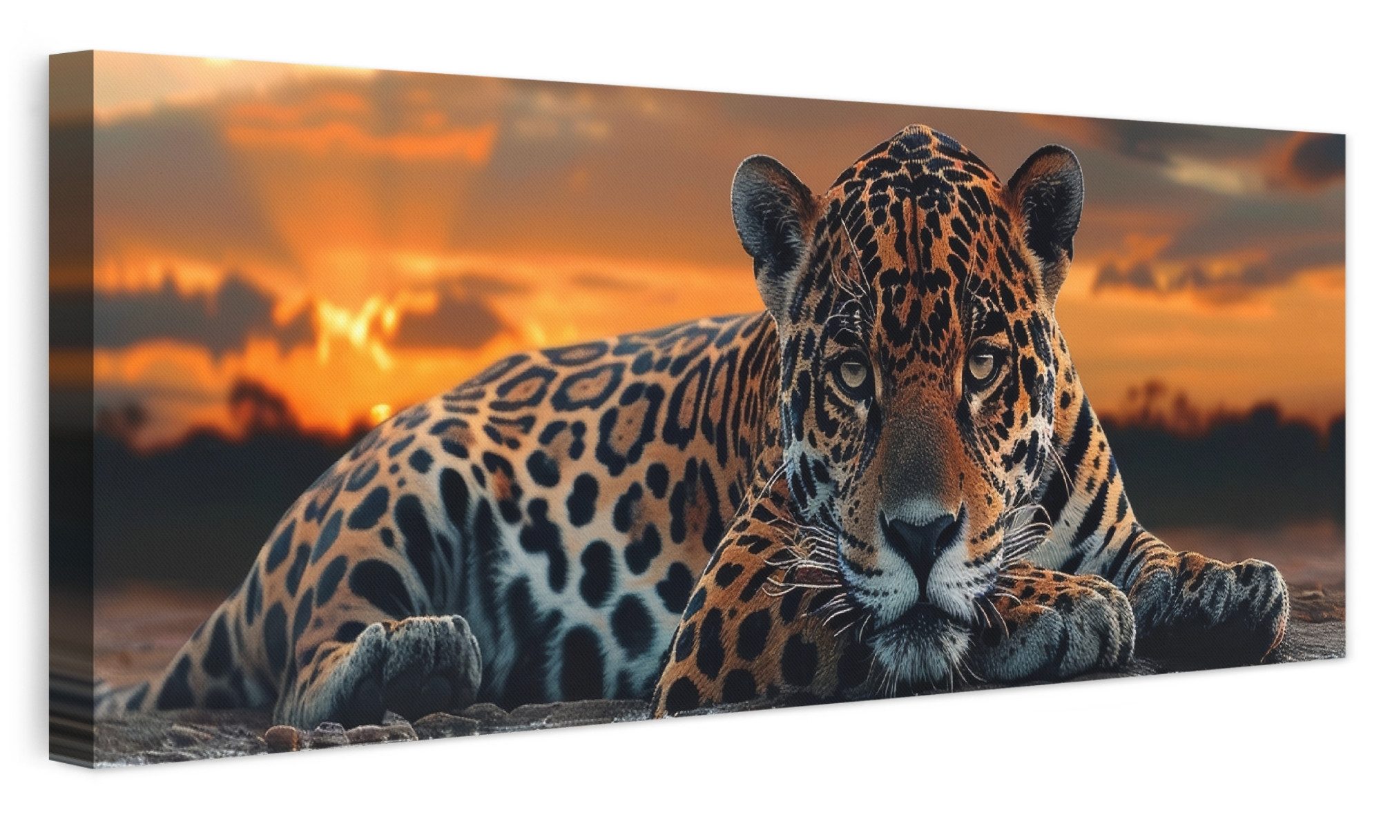 OneMillionCanvasses® Leinwandbild Panorama Natur - Leopard - Tier - Sonnenuntergang - Modern, Fotodruck (1 St), Wandbild, Deko Schlafzimmer …