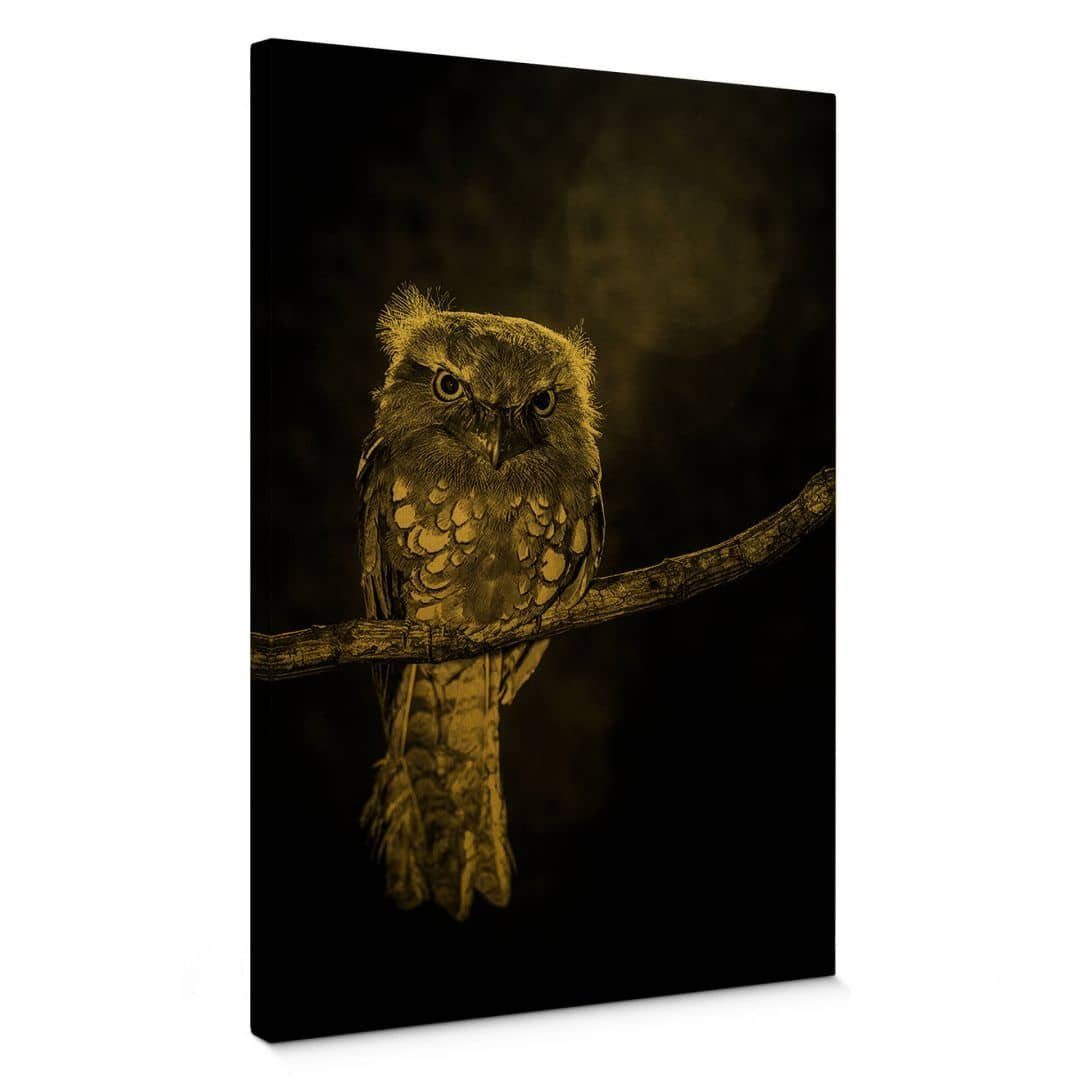 Eule, handmade K&L Wandbild Staring Owl Vogel Gold Wohnzimmer Vintage Leinwandbild Leinwandbild Art Wall Wilianto