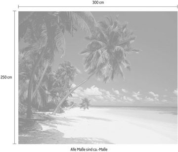 Komar Vliestapete Maldives, (1 St), 300x250 cm (Breite x Höhe), Vliestapete, 100 cm Bahnbreite