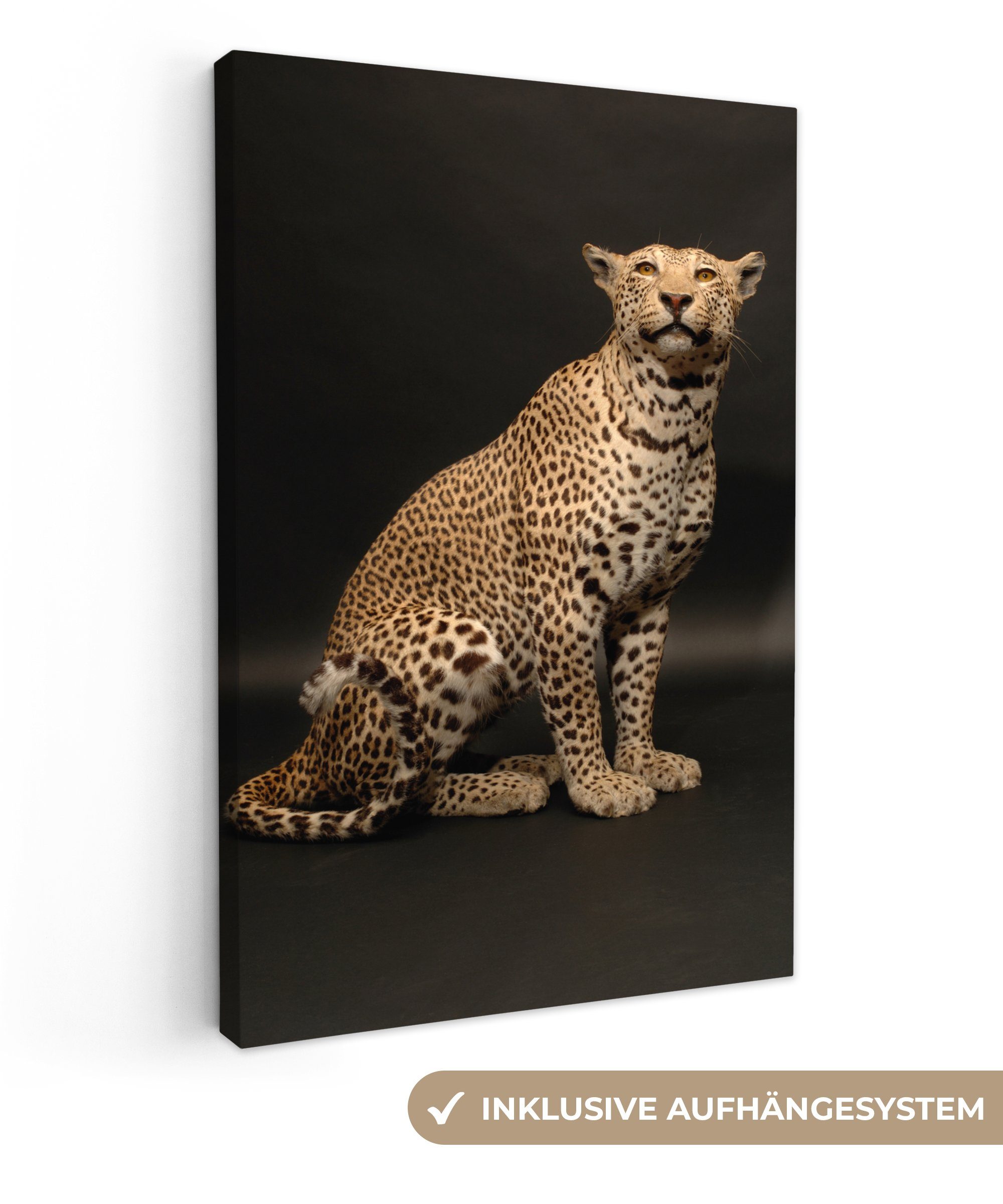 - Leopard 20x30 inkl. fertig Leinwandbild cm Gemälde, bespannt Tiere OneMillionCanvasses® (1 Zackenaufhänger, Leinwandbild - Fleck, St),