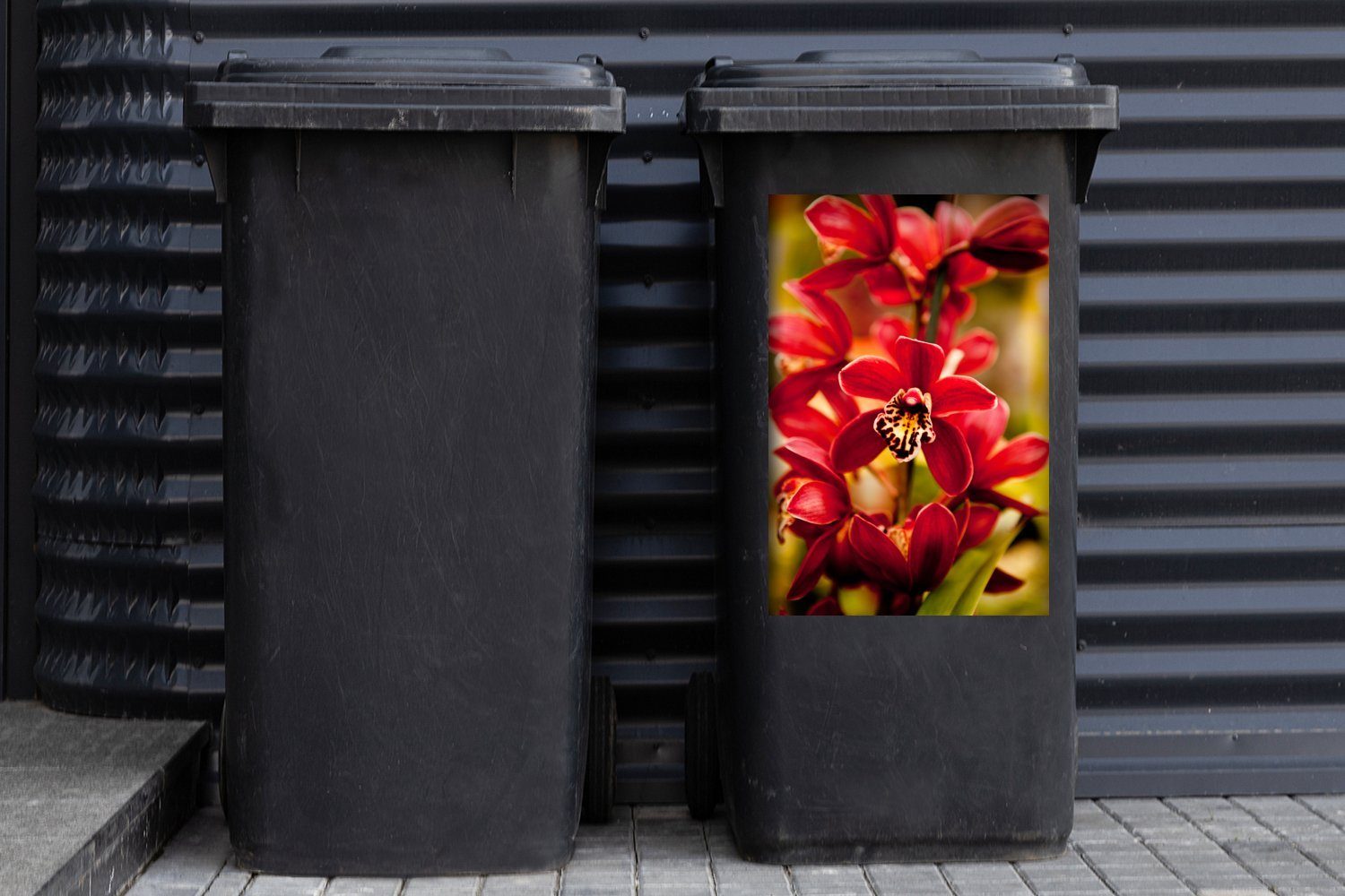 Hintergrund Mülltonne, Orchideen MuchoWow Sticker, Container, St), Wandsticker Rote verblasstem mit (1 Mülleimer-aufkleber, Abfalbehälter
