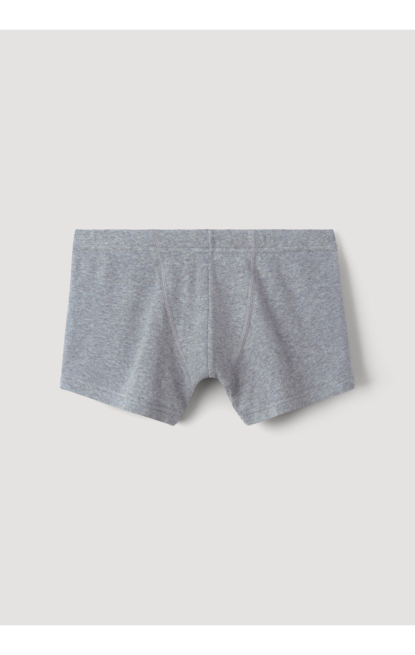 Hessnatur PureDAILY 2er Boxershorts im reiner (2-St) aus Bio-Baumwolle grau Set