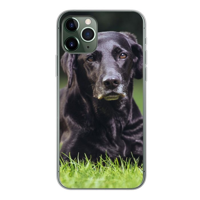 MuchoWow Handyhülle Ein schwarzer Labrador im Gras Handyhülle Apple iPhone 11 Pro Smartphone-Bumper Print Handy