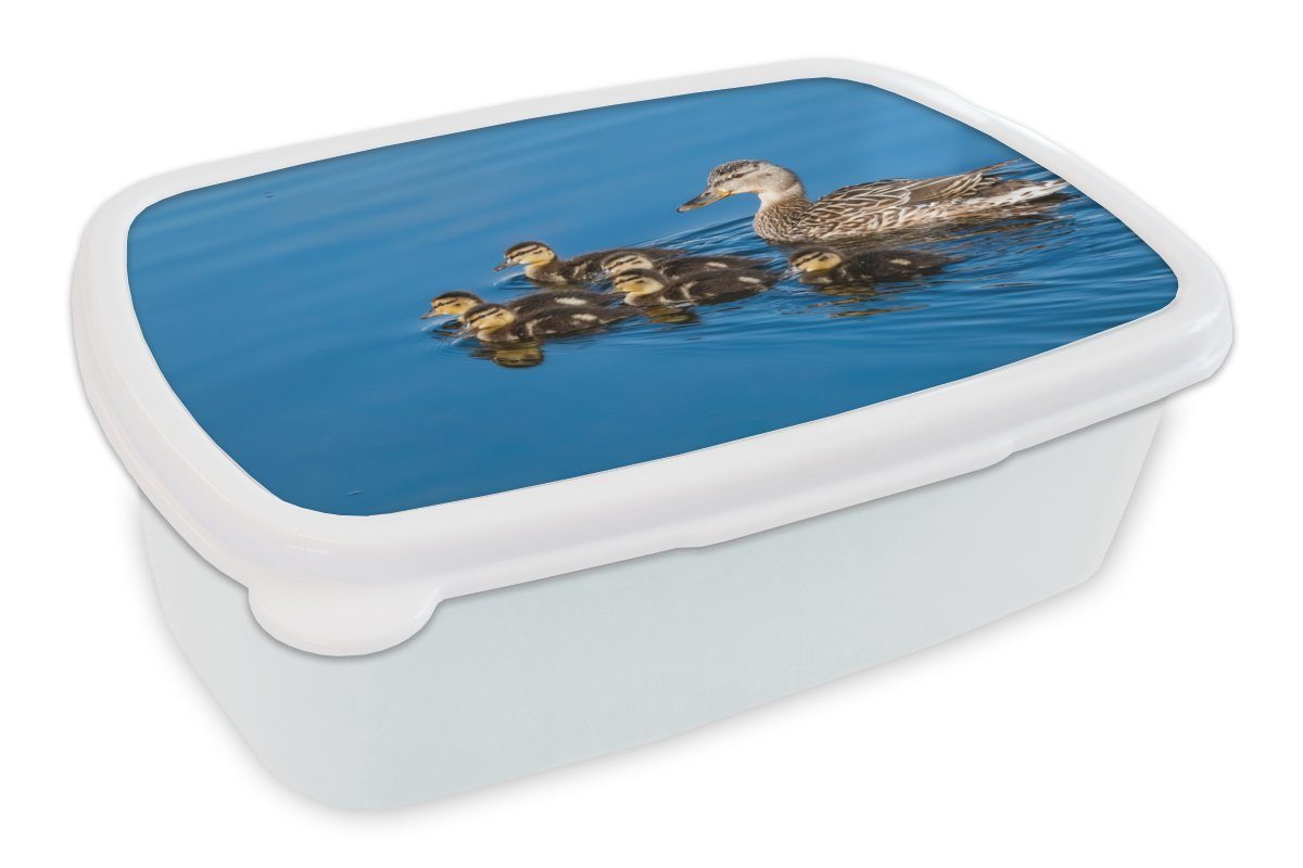 MuchoWow Lunchbox Ente - Wasser - Vogel - Braun, Kunststoff, (2-tlg), Brotbox für Kinder und Erwachsene, Brotdose, für Jungs und Mädchen weiß