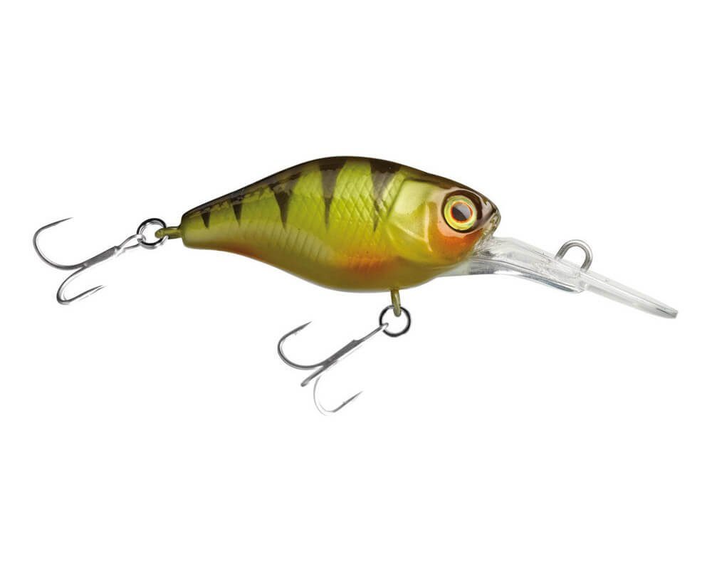 Perch