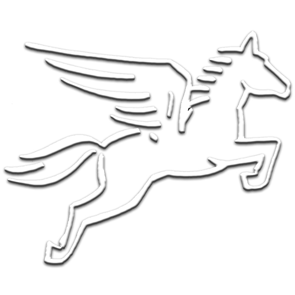 Pegasus Pro GmbH