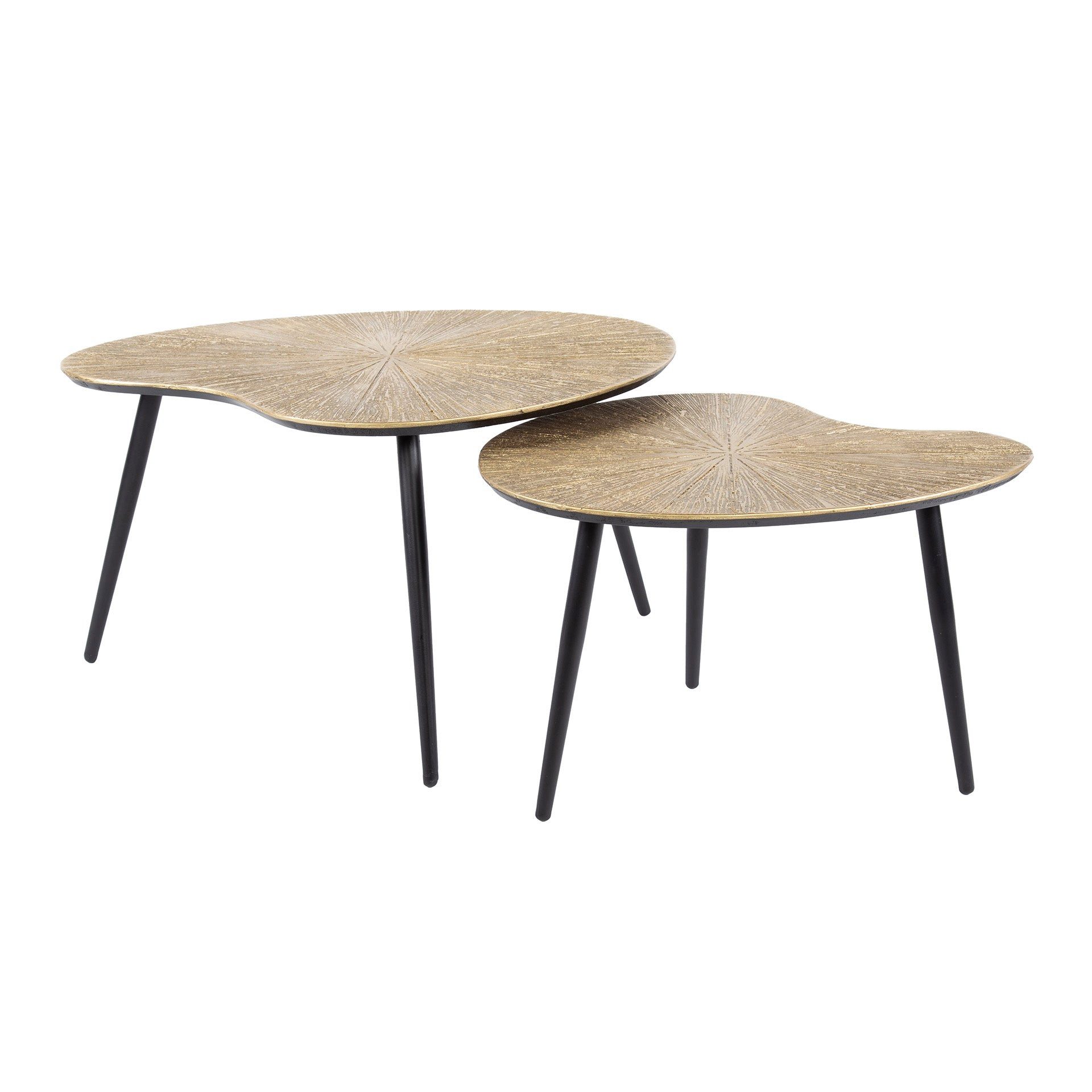 Luxusbetten24 Couchtisch Tavino, 2er Set in Nierenform