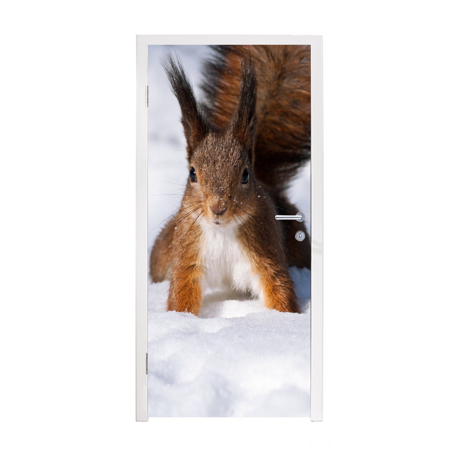 MuchoWow Türtapete Eichhörnchen - Nagetier - Schnee - Winter, Matt, bedruckt, (1 St), Fototapete für Tür, Türaufkleber, 75x205 cm