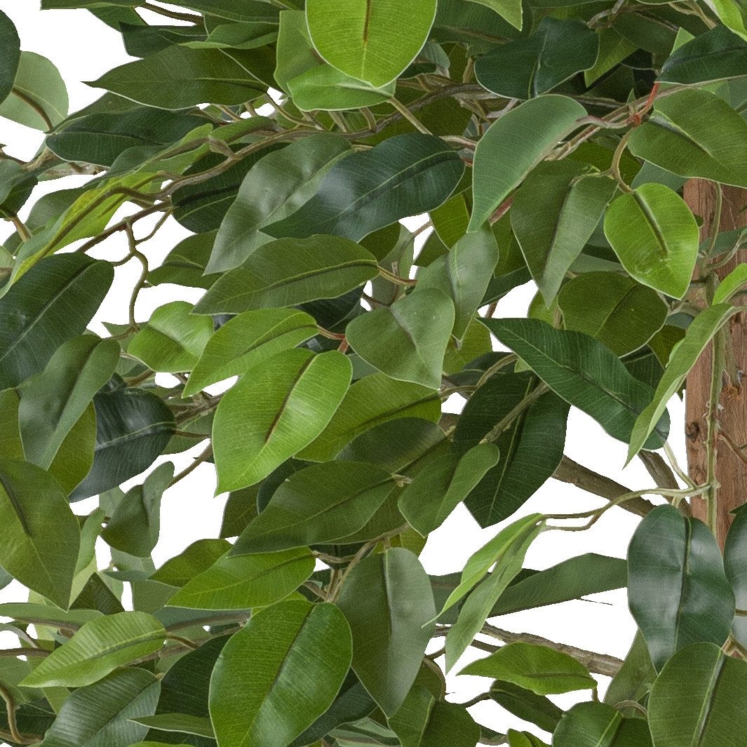 Kunstpflanze Ficus benjamina, Creativ green, Höhe günstig online kaufen