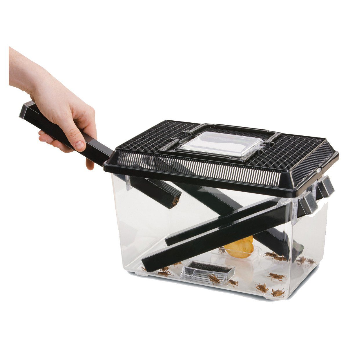 Exo Terra Tiertransportbox Cricket Box