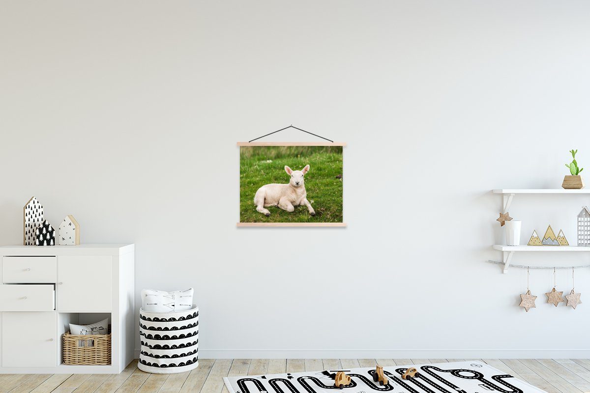 MuchoWow Poster Schafe - Tiere - Lamm, (1 St), Posterleiste, Textilposter für Wohnzimmer, Bilderleiste, Magnetisch