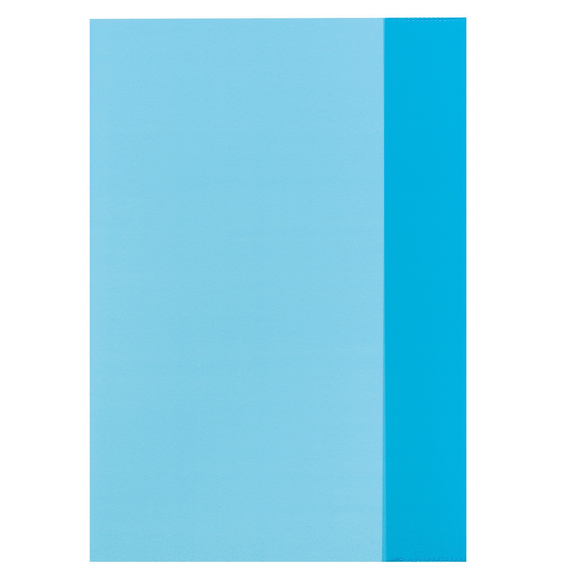 Herlitz Schulheft 10 Herlitz Heftumschläge / Hefthüllen DIN A4 / 5 verschiedene Farben – Bild 5 von 5
