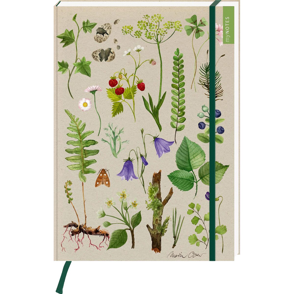 Ars Edition Notizbuch myNOTES Papeterie: Notizbuch A4 Naturschätze: Wald & Wiesenblumen