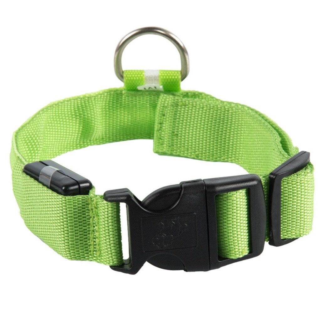 Kevin Frotscher (FroShop) Hundehalsbandleuchte Hundehalsband Leuchthalsband Hund LED USB Aufladbar, Akku Halsband Gr. L Farbe GRÜN - Aufladbar USB Größe L (41 - 52cm)