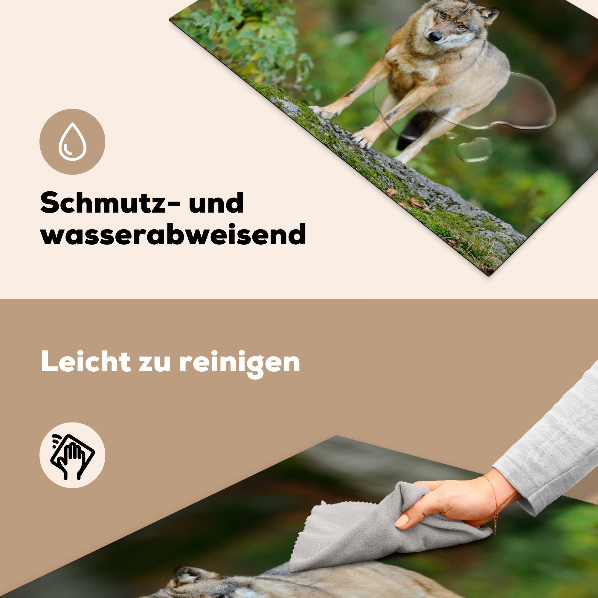 MuchoWow Herdblende-/Abdeckplatte Wolf - für Wald, Vinyl, Ceranfeldabdeckung cm, küche, tlg), Tiere die 81x52 Induktionskochfeld (1 Schutz 