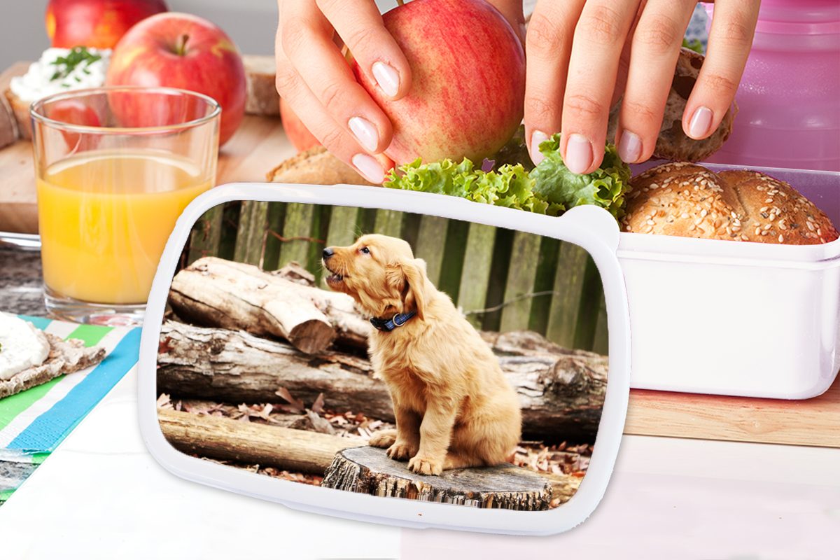 Brotbox und für Hund Kinder MuchoWow - und Natur, (2-tlg), Mädchen Erwachsene, für Jungs Lunchbox - weiß Brotdose, Kunststoff, Zweig