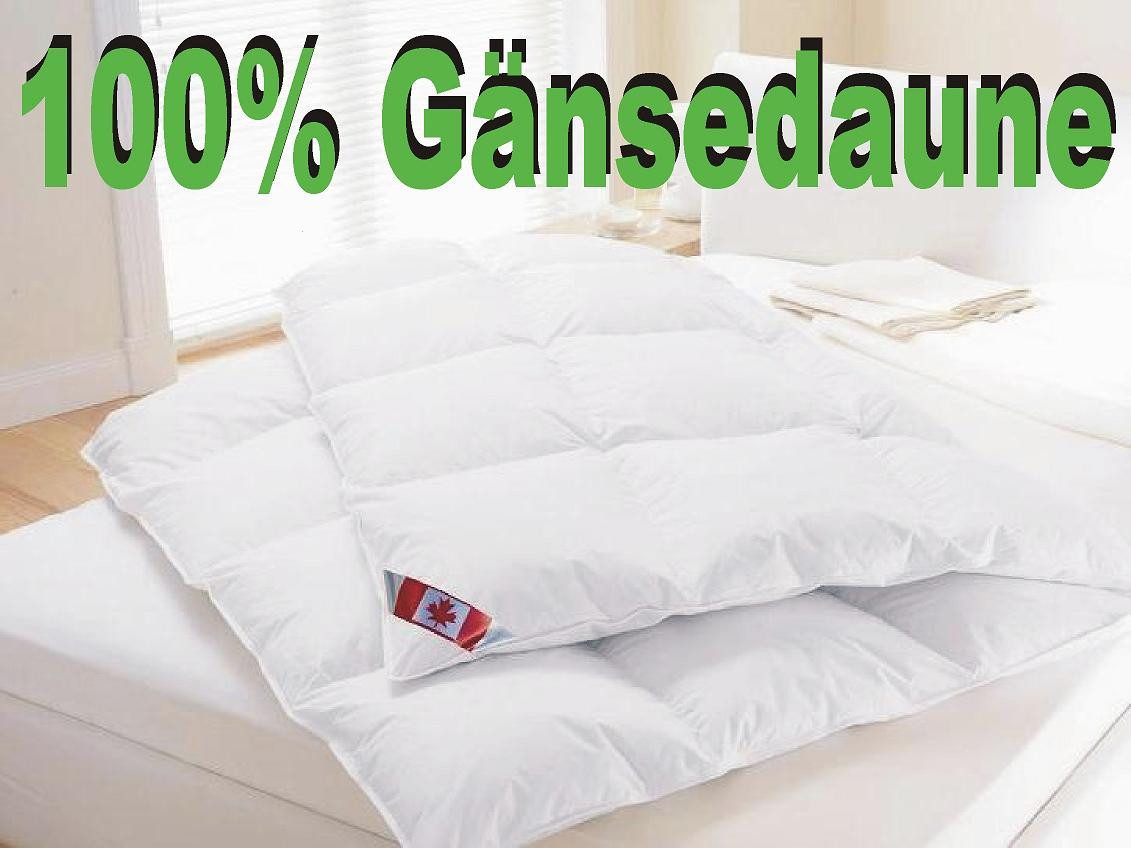 Canada Daunenbettdecke Polaris Premium Ganzjahresdecke weiße Canada Gänseda günstig online kaufen