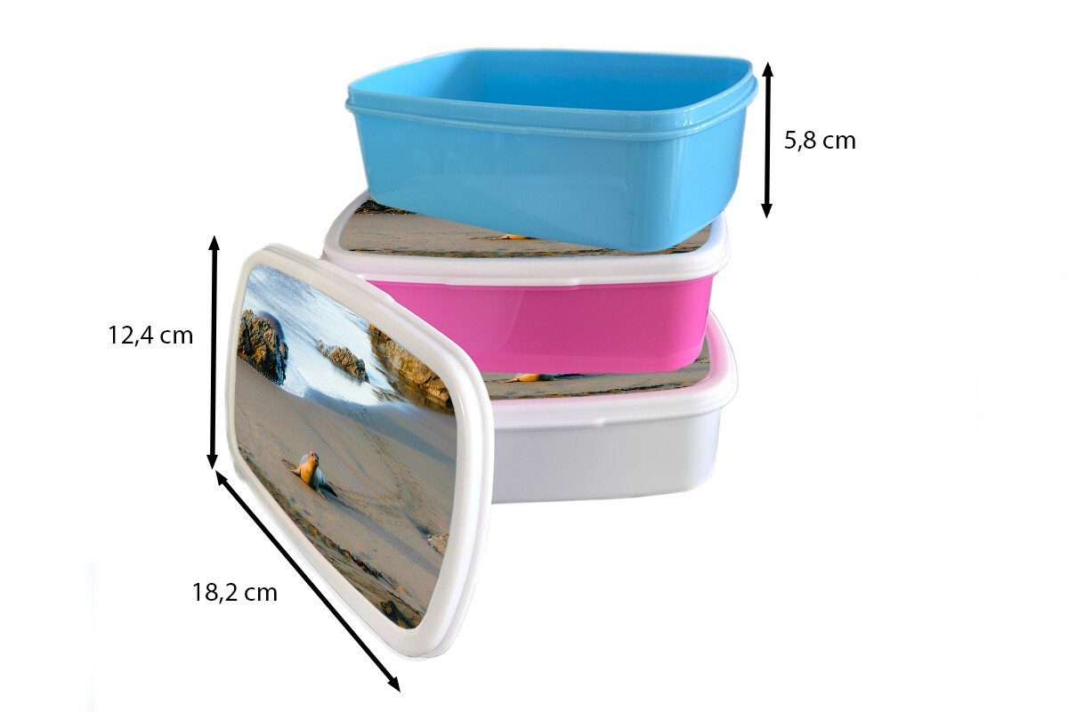 Erwachsene, Brotdose, Tiere MuchoWow Lunchbox Robbe - weiß für (2-tlg), Jungs Kunststoff, Kinder und - Brotbox und für Strand, Mädchen