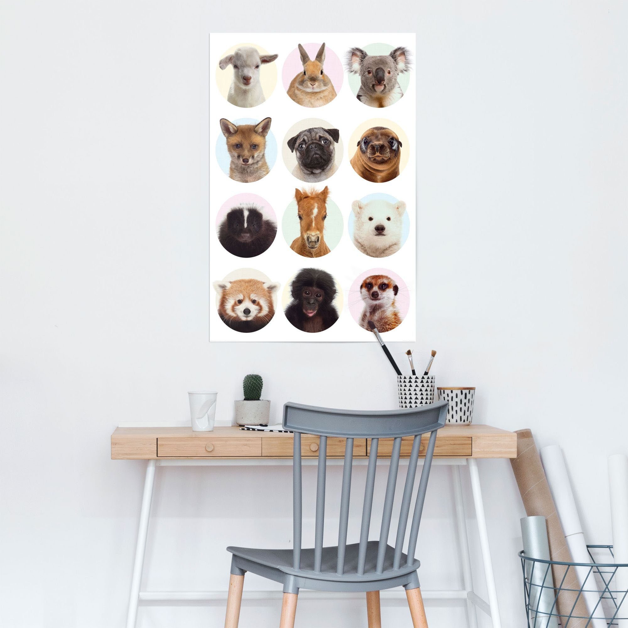 Reinders! Poster »Jungtiere«, (1 Stück)-HomeTrends