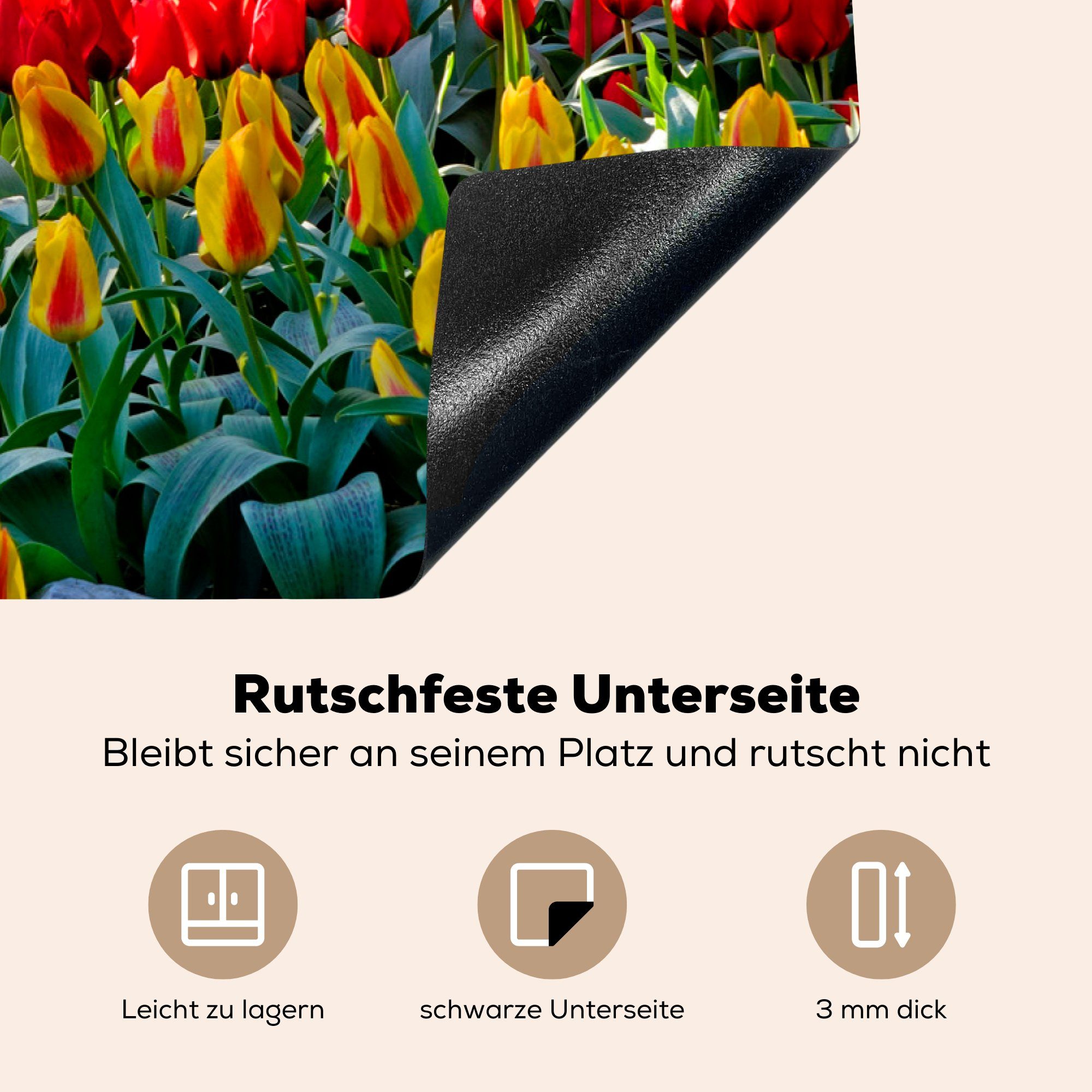 MuchoWow Herdblende-/Abdeckplatte Bunte Tulpen auf tlg), küche, dem Niederlanden, in Schutz cm, Keukenhof Ceranfeldabdeckung Induktionskochfeld Vinyl, (1 81x52 die für den