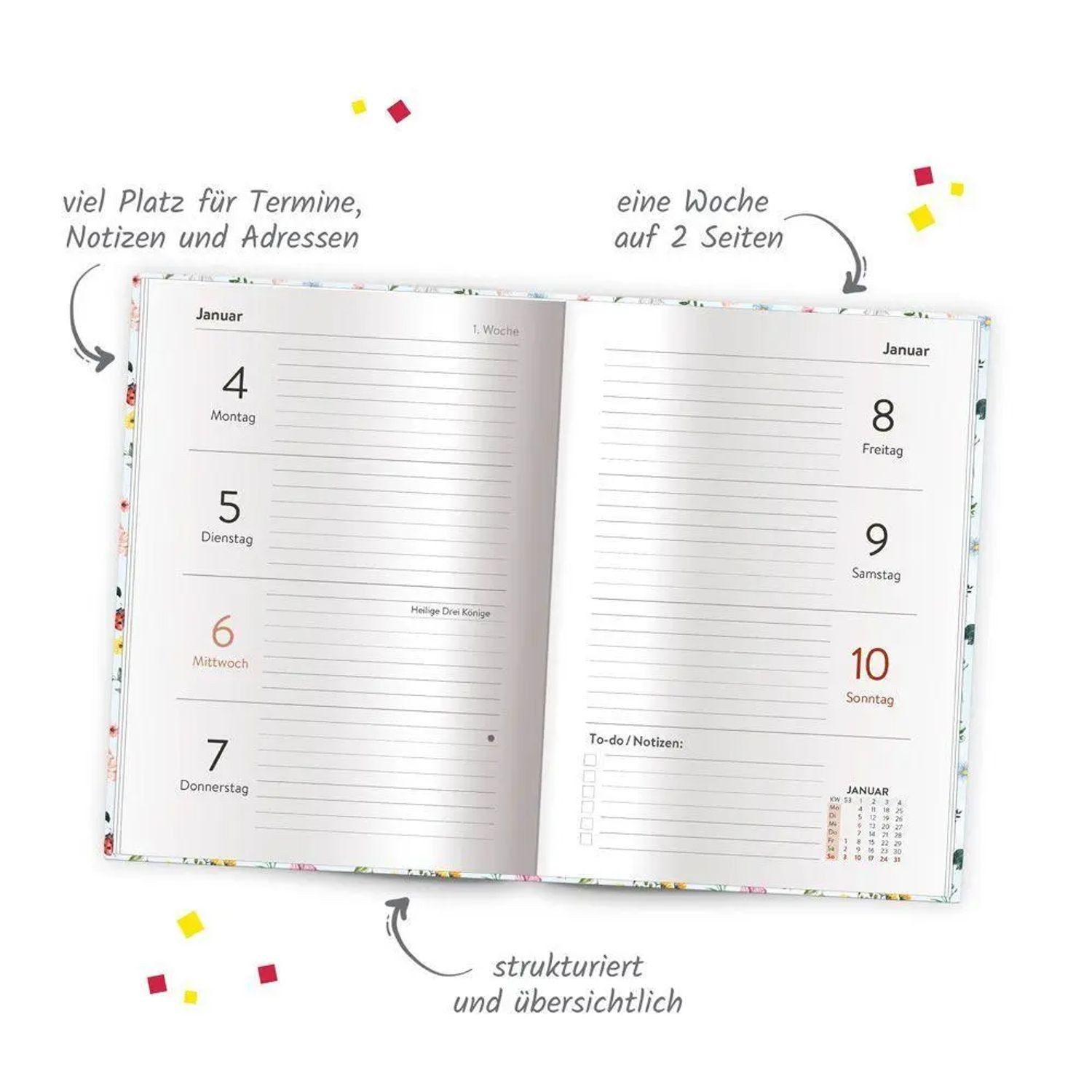 Trötsch Verlag Taschenkalender TRÖTSCH - Taschenkalender A6 Marienkäfer 2027 – Bild 3 von 4