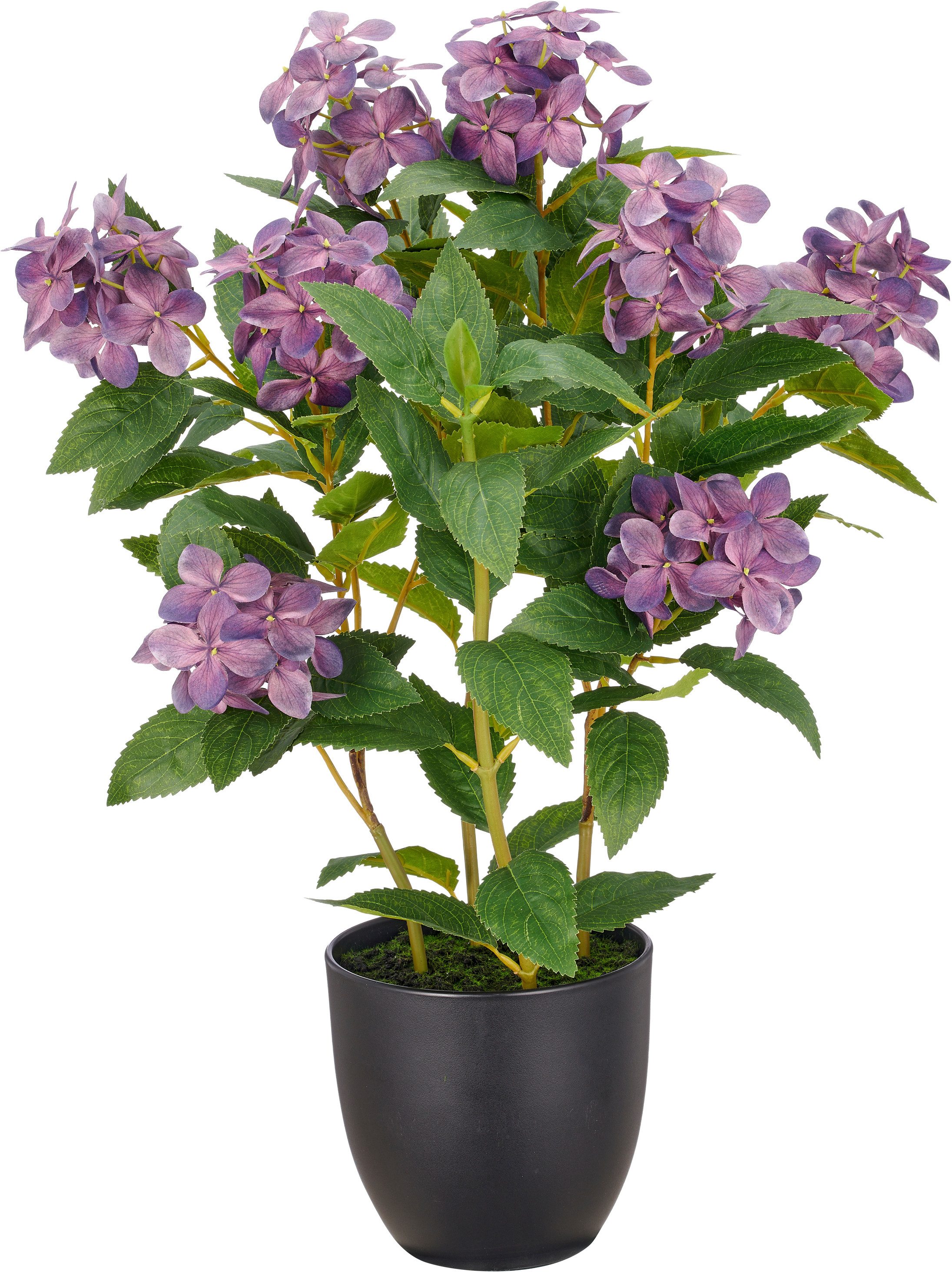 Kunstpflanze Hortensie paniculata, Creativ green, Höhe 60 cm, mit 8 Real-Touch-Blüten
