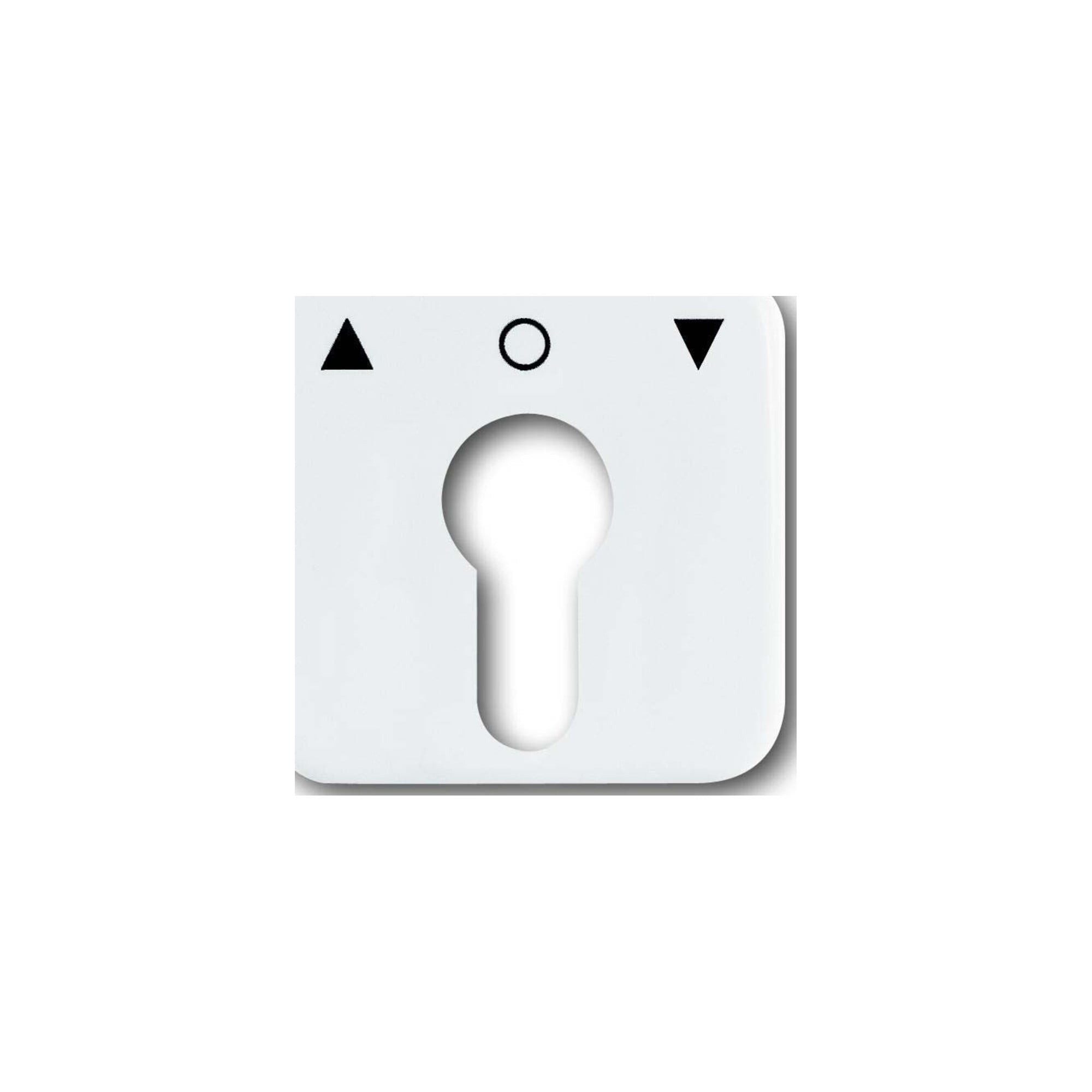 Busch-Jaeger Abdeckplatte Busch-Jaeger Zentralscheibe aws f.Profilhalbzylinder 2557 PZ-214-101