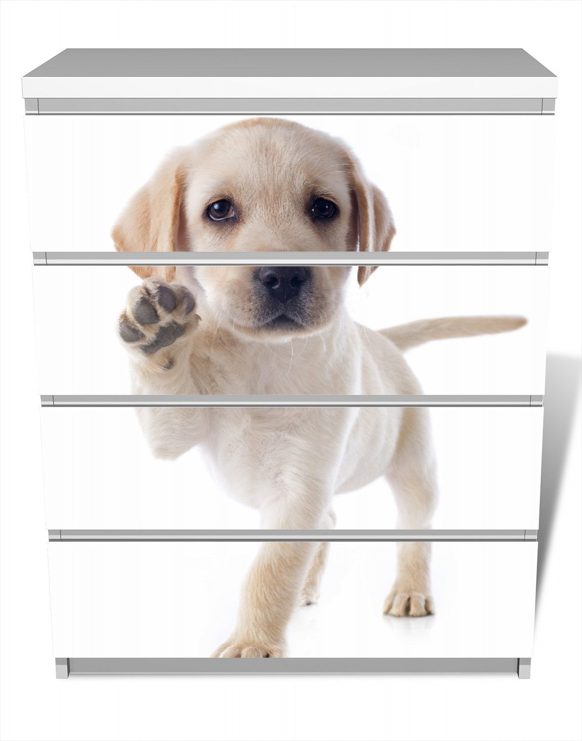 Wallario Möbelfolie Süßer Labrador-Welpe sagt Hallo