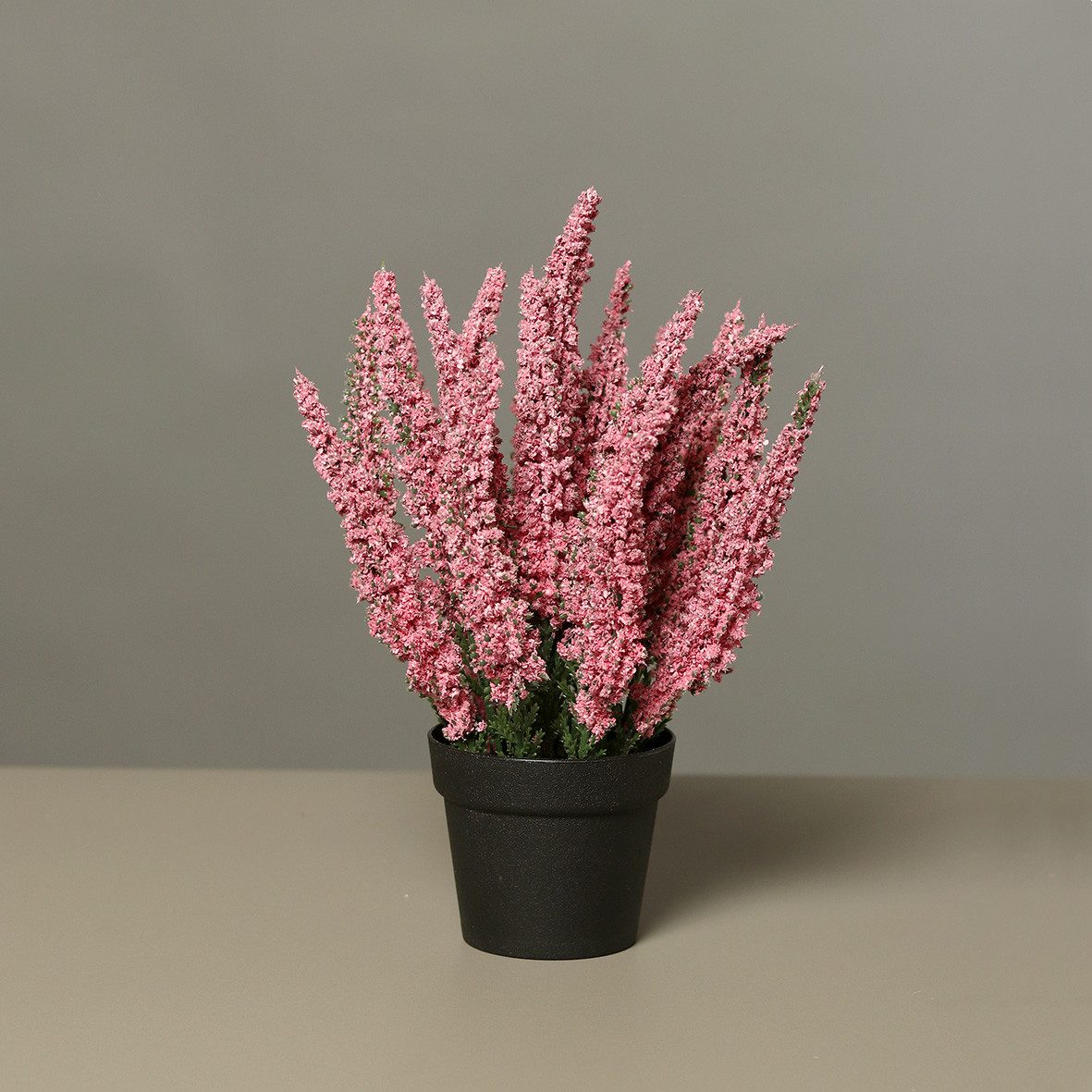 Kunstpflanze Künstliche Erika im Topf 27cm mit 19 Blütenstiele, mucPlants