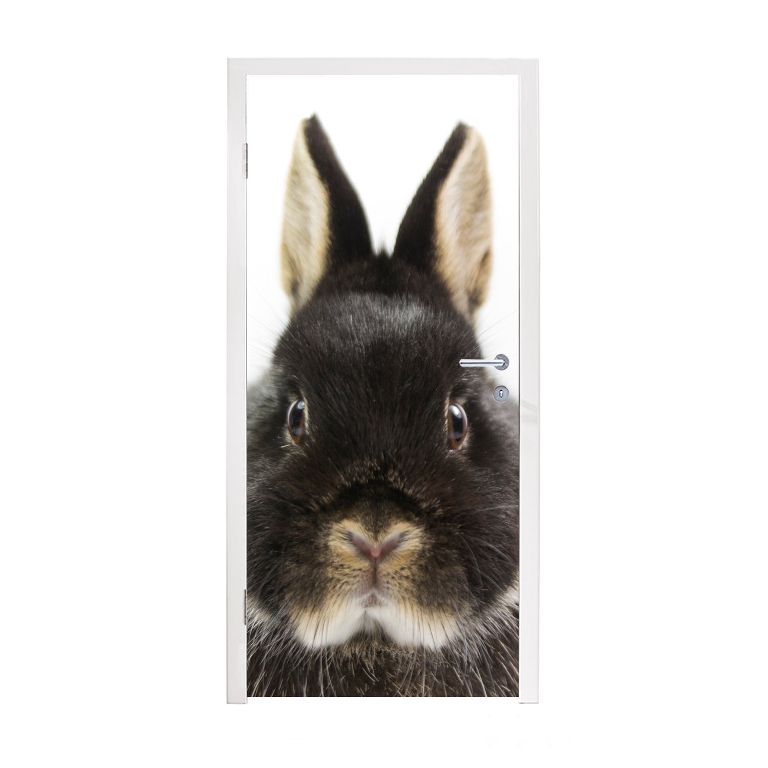 MuchoWow Türtapete Kaninchen - Haustiere - Fell, Matt, bedruckt, (1 St), Fototapete für Tür, Türaufkleber, 75x205 cm
