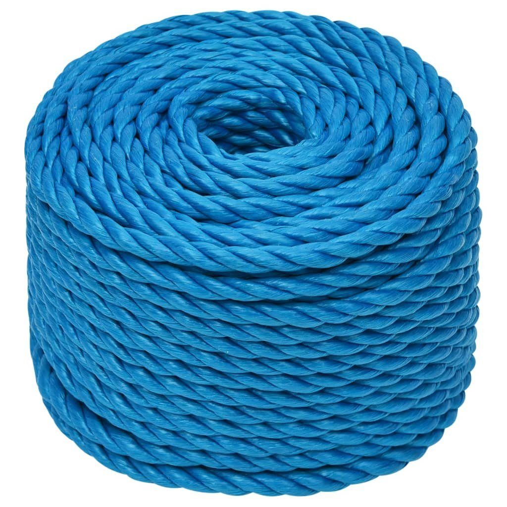 vidaXL Arbeitsseil Blau 20 mm 25 m Polypropylen Seil (1-tlg)