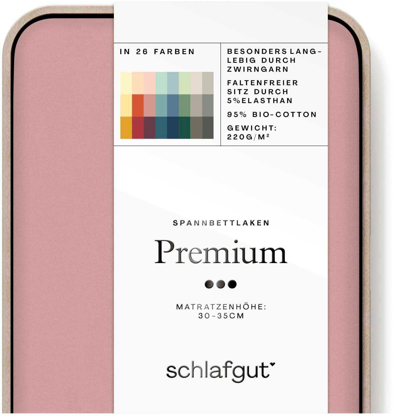 Schlafgut Spannbettlaken Premium, Mako-Zwirn-Jersey, Gummizug: rundum, günstig online kaufen