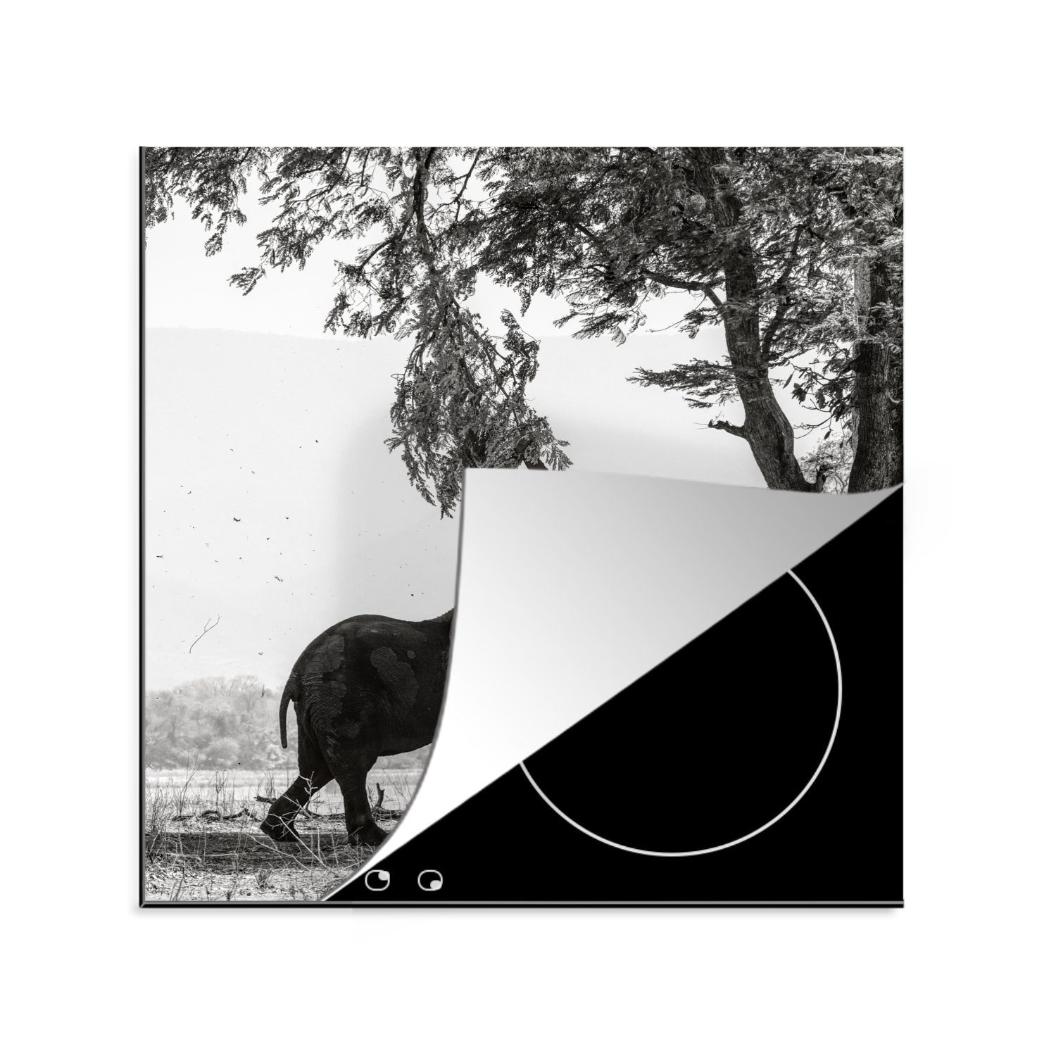 für tlg), MuchoWow Schwarz weiß, küche cm, Arbeitsplatte Herdblende-/Abdeckplatte Elefant und Baum - 78x78 - Ceranfeldabdeckung, Tiere - Vinyl, (1