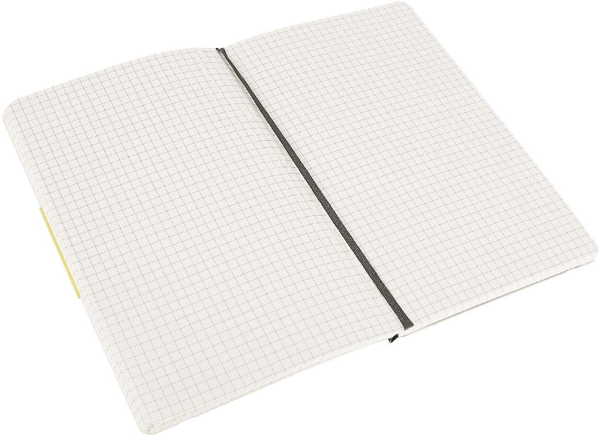 MOLESKINE Notizbuch Notizbuch L A5 13x21cm kariert Softcover schwarz