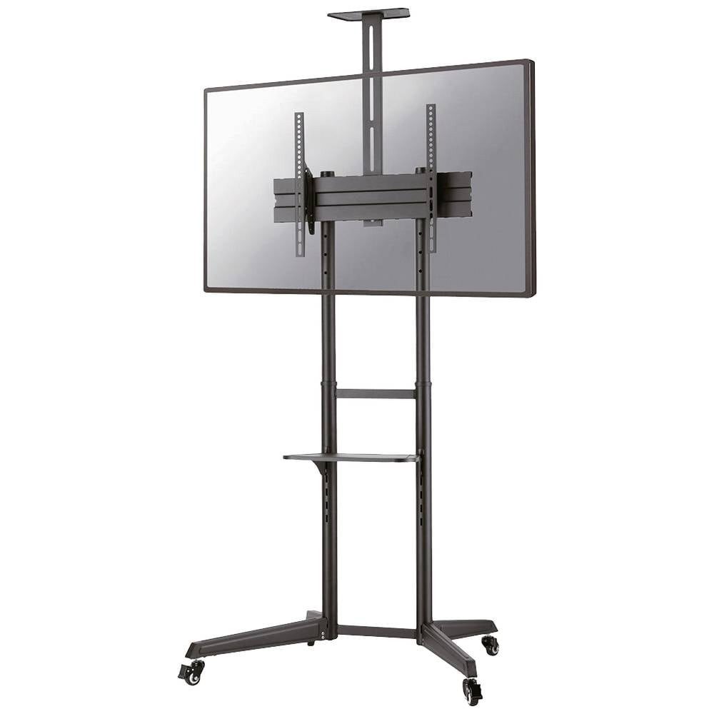 Neomounts by Newstar TV-Standfuß Bodenständer FL50-550BL1, (Neigbar, Höhenverstellbar)