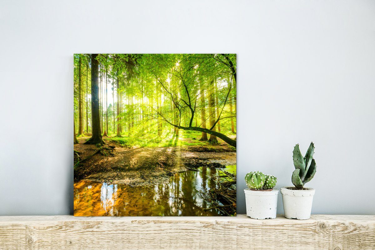 Wald Bäume - Gemälde - Sonne - Wasser MuchoWow Metall, Grün aus deko - - St), Natur, - (1 Landschaft Alu-Dibond-Druck, Aluminium Metallbild