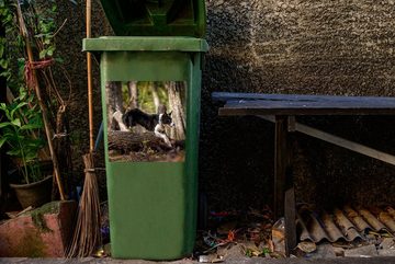 MuchoWow Wandsticker Ein schwarz-weißer Border Collie springt über einen Baumstamm (1 St), Mülleimer-aufkleber, Mülltonne, Sticker, Container, Abfalbehälter