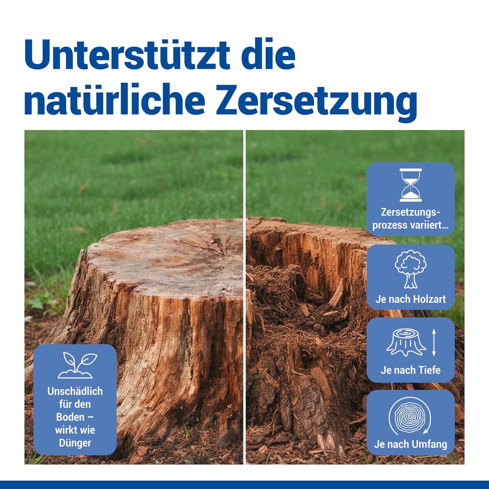 MY WAY Wurzelentferner-Mittel Wurzel-weg, beschleunigt den Zersetzungsprozess des Holzes, 3000 g, verschiedene Gebindegrößen – Bild 3 von 5