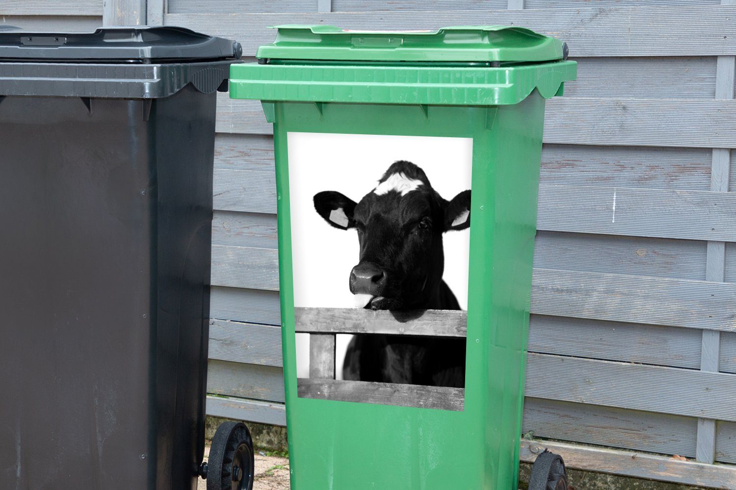 schwarz streckt Container, heraus ihre Mülltonne, weiß Sticker, und Zunge Kuh MuchoWow - Wandsticker (1 St), Abfalbehälter Mülleimer-aufkleber,